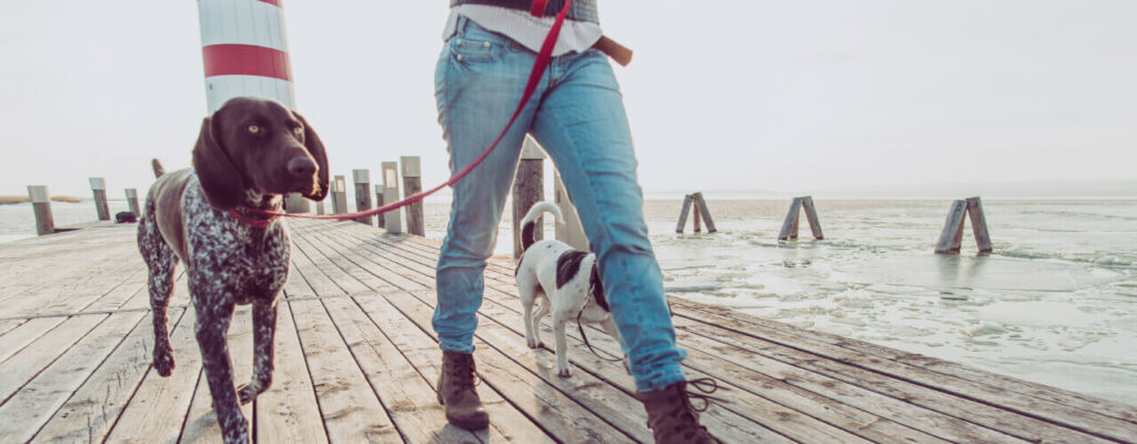 Tips-To-Get-More-Physical-Activity