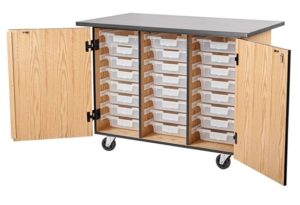 Ergonomic Initiative Program