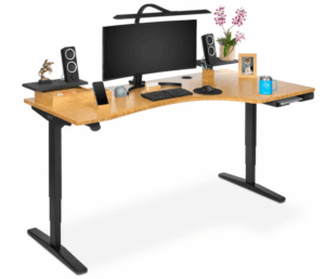 Ergonomic Initiative Program